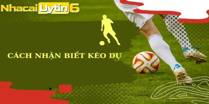 Cách nhận biết kèo dụ - Top các loại kèo dụ phổ biến