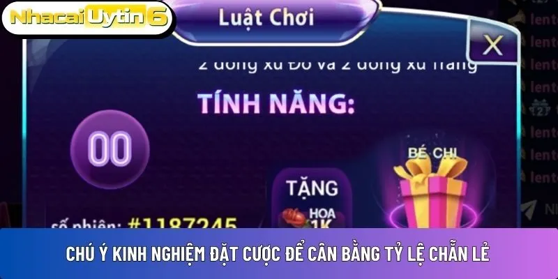 Chú ý kinh nghiệm đặt cược để cân bằng tỷ lệ chẵn lẻ