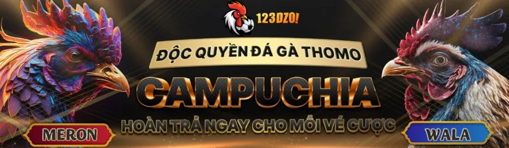 Đá gà trực tiếp độc quyền từ các sảnh gà lớn nhất châu Á