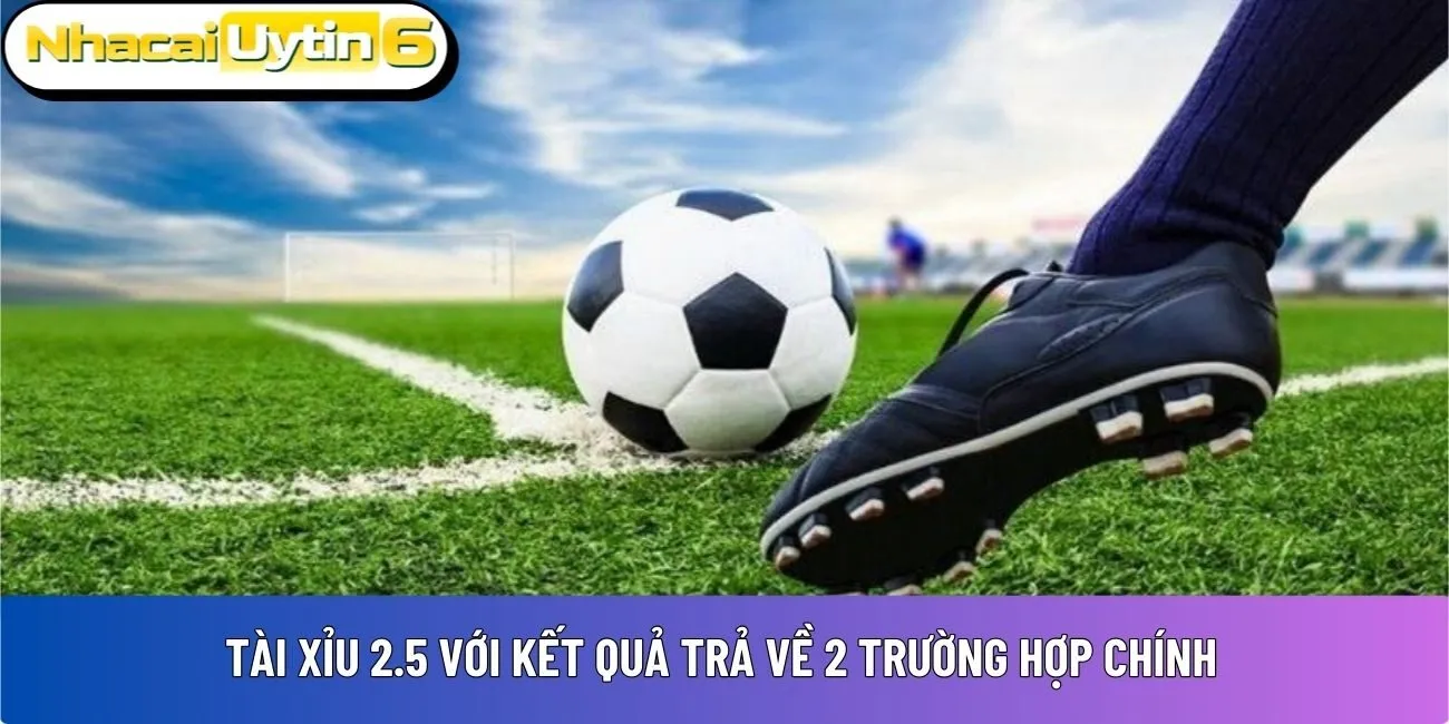 Tài xỉu 2.5 với kết quả trả về 2 trường hợp chính