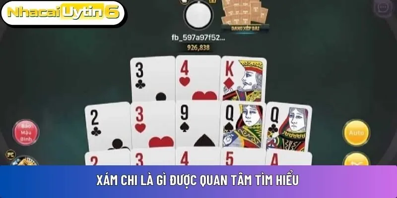 Xám chi là gì được quan tâm tìm hiểu